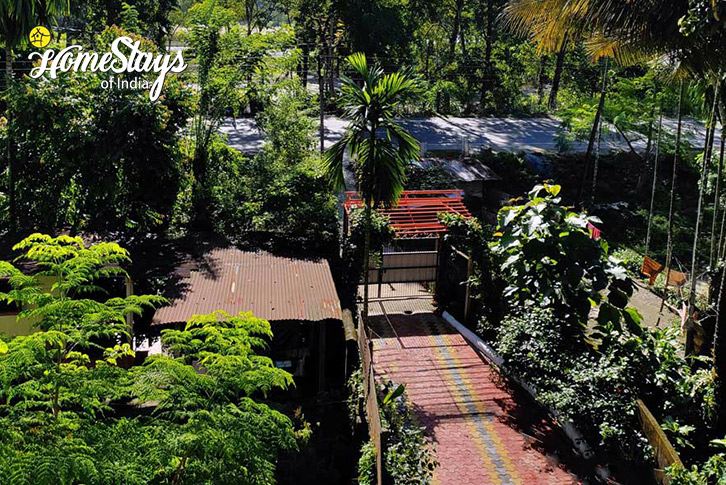 View-from-terrace-Jungle Joy Homestay-Jaldapara