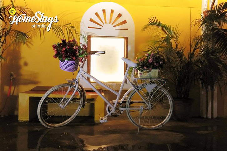 Cycle-River Symphony Homestay-North Goa