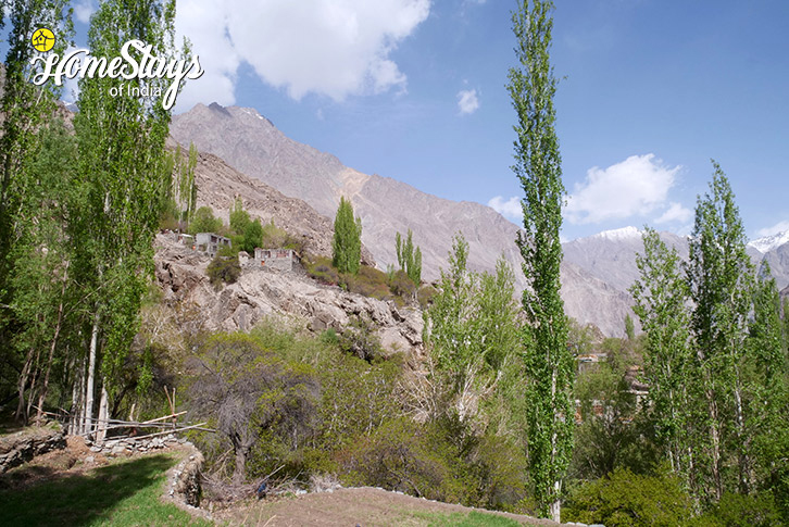 Village-Border-View-Homestay,-Tyakshi-Nubra-Valley