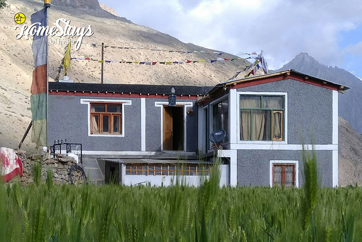 Hinterland Ecostay, Mane Yogma-2-Spiti