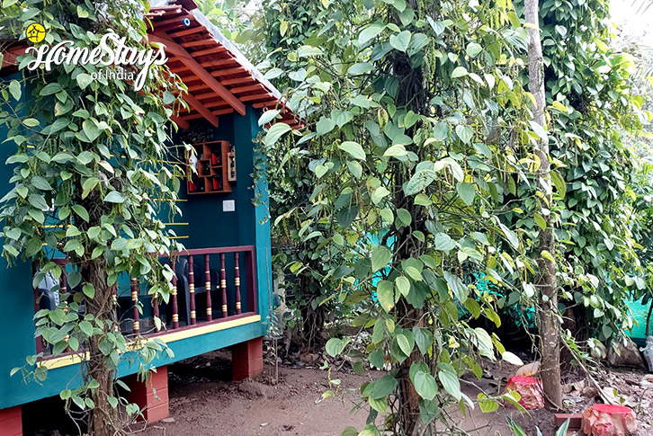 Jungle-Galore-Homestay-2-Kabini-Mysore