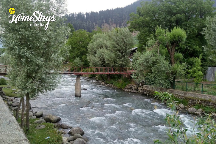 Lidar-River-Shades of Spring-Pahalgam