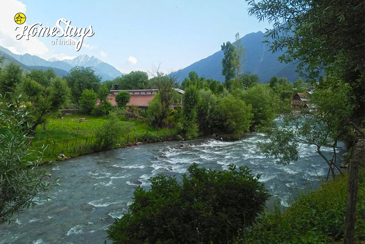 RiverSide-Shades-of-Spring-Pahalgam