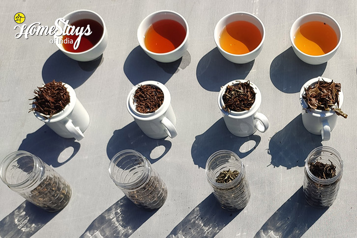 Tea-Testing-Eutopia-Tea-Estate-Heritage-Homestay-Dhekiajuli