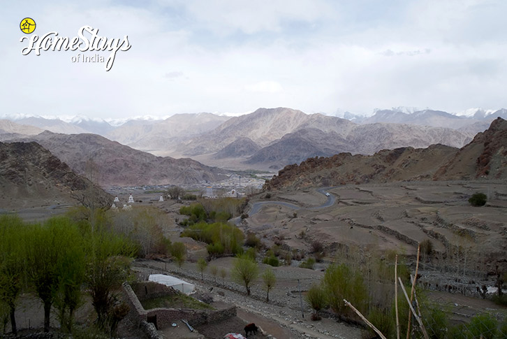 The Village-Traveller's Den Homestay-Hemis