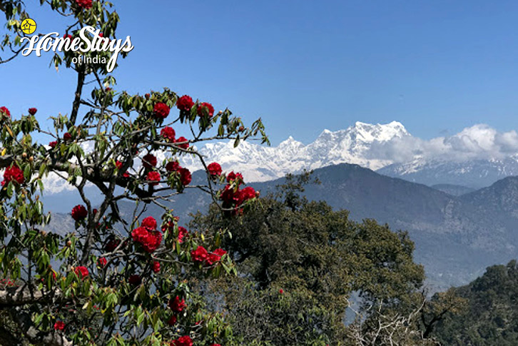 View-Sun Snow and Songs of Nature Homestay-Pokhari
