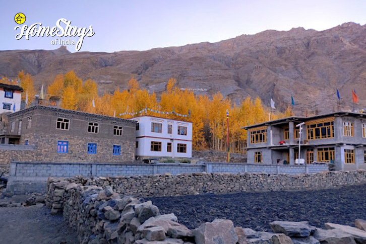 Village-3-Blazing Star Homestay,Mane Yogma-Spiti