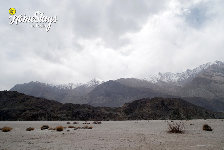 Dunes-Riders Republic Homestay-Panamic-Nubra Valley