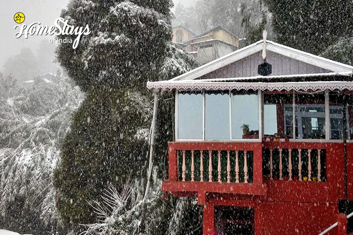 Winter-Sleeping Buddha Homestay-Darjeeling