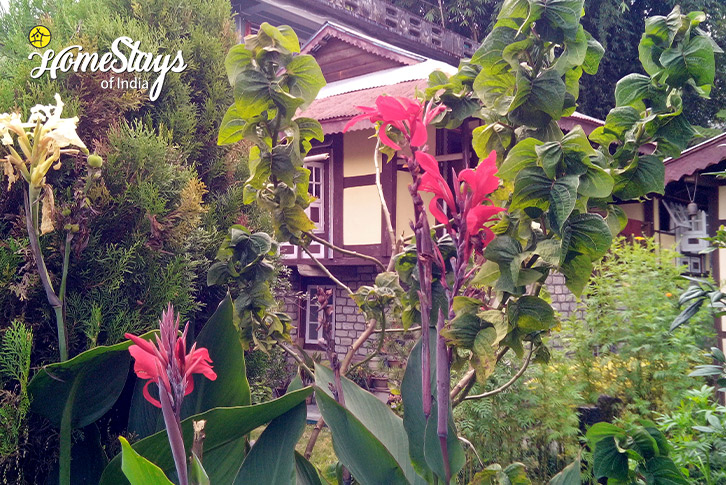 Garden-Antiquity Heritage Bungalow-Gangtok