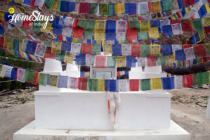 Holy Flag-Riders Republic Homestay-Panamic-Nubra Valley