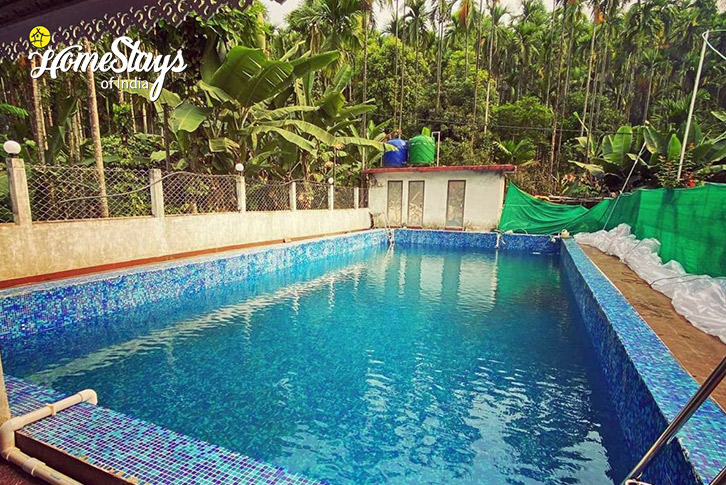 Swimming-pool-2-Rejoice in Wilderness Homestay, Gorubathan-Kalimpong