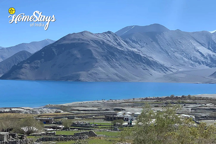 Pangong-lake-2-Hues of Blue Homestay-Man-Pangong