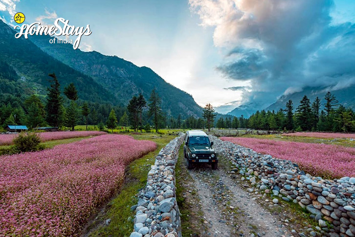 Surrounding-Baspa Riverside Homestay-Rakcham-Sangla