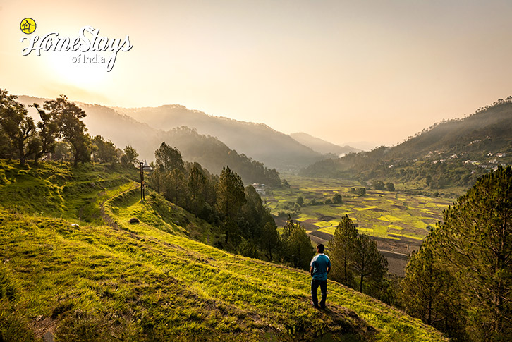 View-Mountain Magic Homestay-Kausani