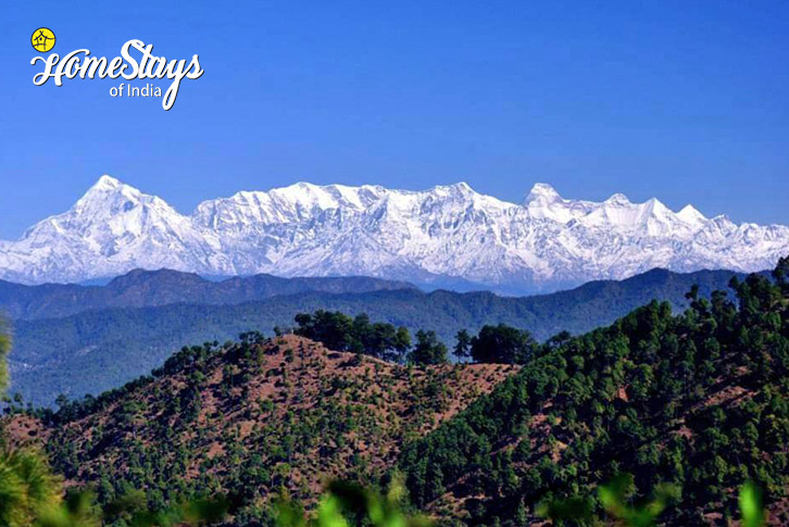 View-Peaceful-Mountain-Homestay-Majkhali-Ranikhet