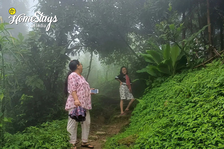 Forest-Misty Mountain Homestay-Darjeeling