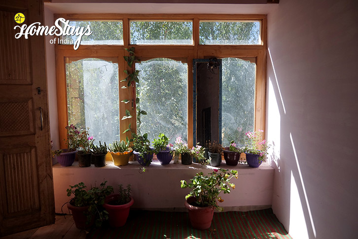 Window-Hidden Paradise Homestay-Sumur