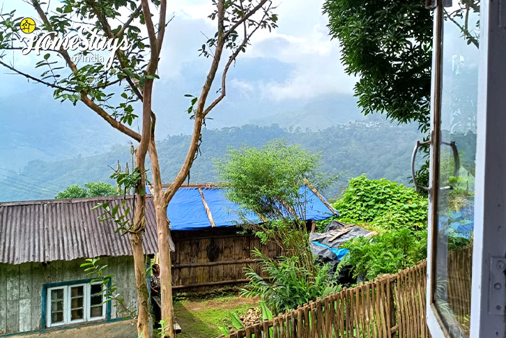 Window-view-Misty Mountain Homestay-Darjeeling