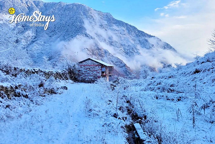 Winter-1-Mystic Himalayan Homestay, Urgam Valley-Chamoli