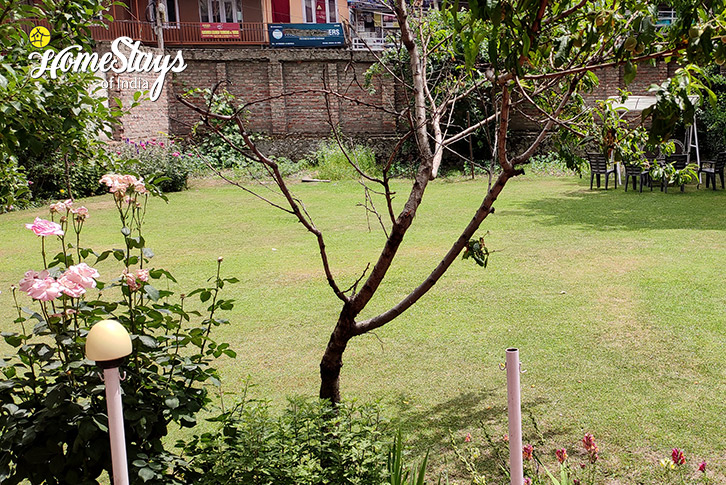 Garden-2-The Gardenia Homestay-Srinagar