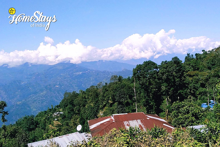 Surrounding-1-Hillside Hideaway-Kalimpong