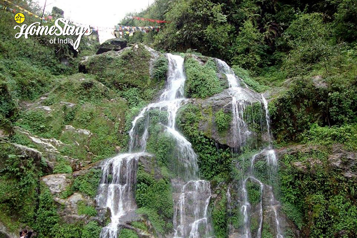 Waterfall-Nature's Courtyard Homestay-Gangtok