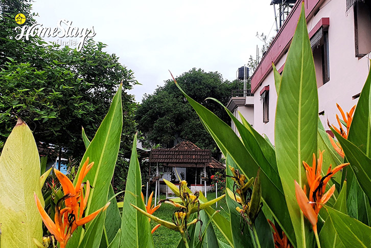 Garden-3-Harmony Heritage Homestay-Fort Kochi