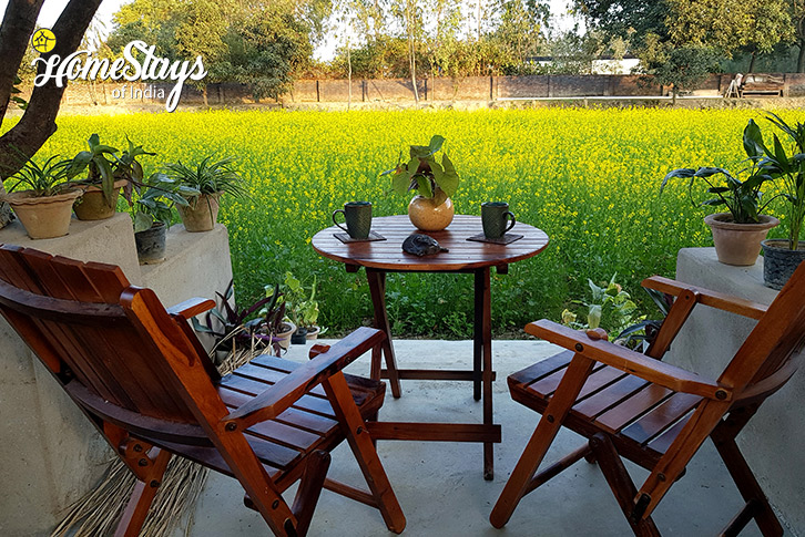 Garden-Sitting-1-Dreamy Orchard Homestay-Lucknow