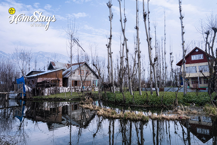 How to be a great solo traveler in Kashmir (2)
