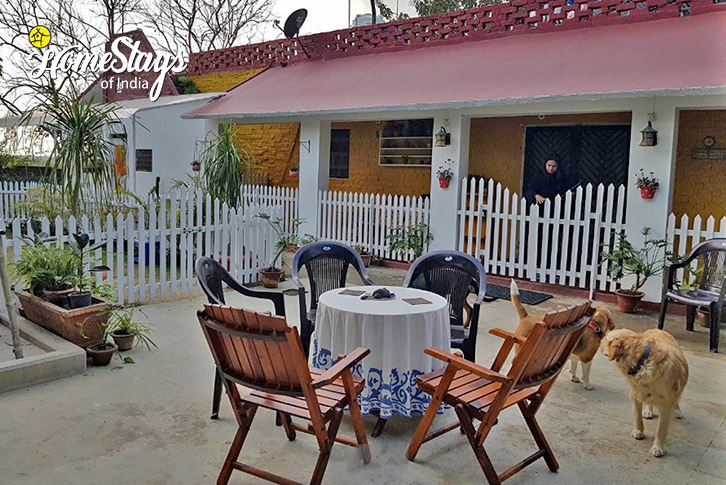 Pets-Dreamy Orchard Homestay-Lucknow