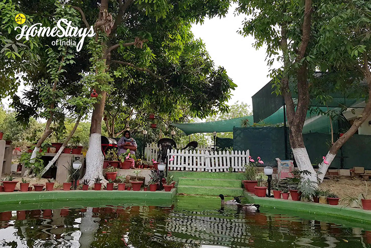 Pond-2-Dreamy Orchard Homestay-Lucknow