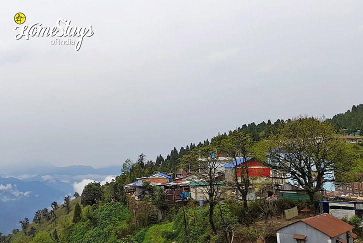 Terrace-view-1-Azure Sky Homestay-Darjeeling