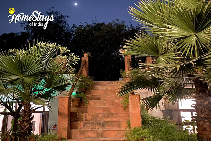 Moon-The Good Life Homestay-Delhi