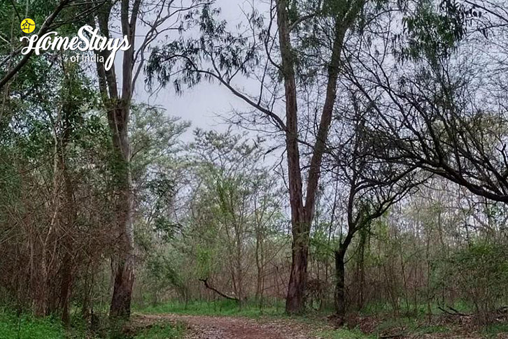 Surrounding-Lingambudhi-Lakeside-Villa-Mysore