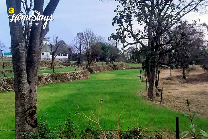 Surrounding-1-Tanquil Times Homestay-Bir