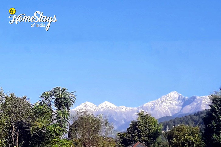 View-Tanquil Times Homestay - Bir