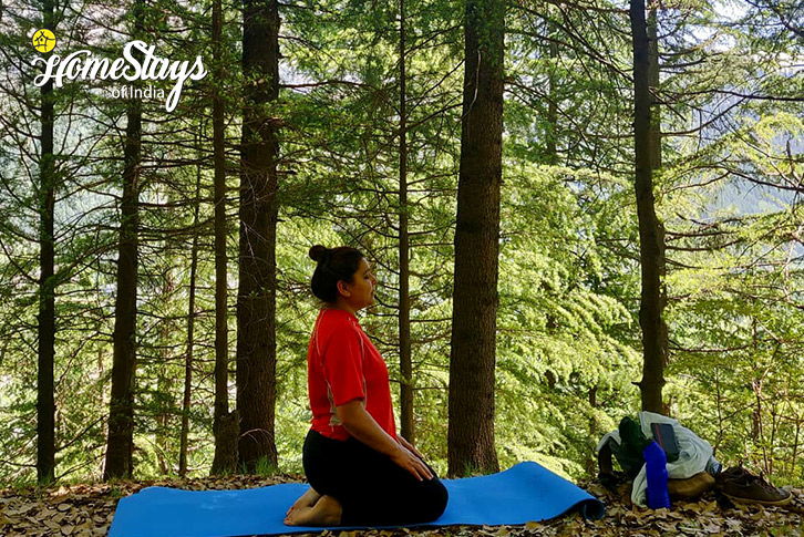 Yoga-Pet Paradise Homestay, Naggar-Manali