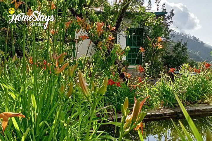 Exterior-2-Mountain Melody Homestay-Ramgarh