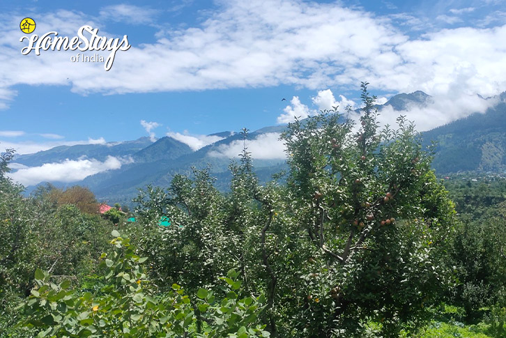 Apple-Dreams & Streams Homestay, Dobhi-Kullu