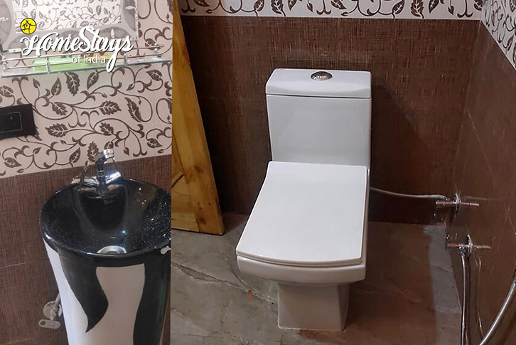 Bathroom-1-Dreams & Streams Homestay, Dobhi-Kullu