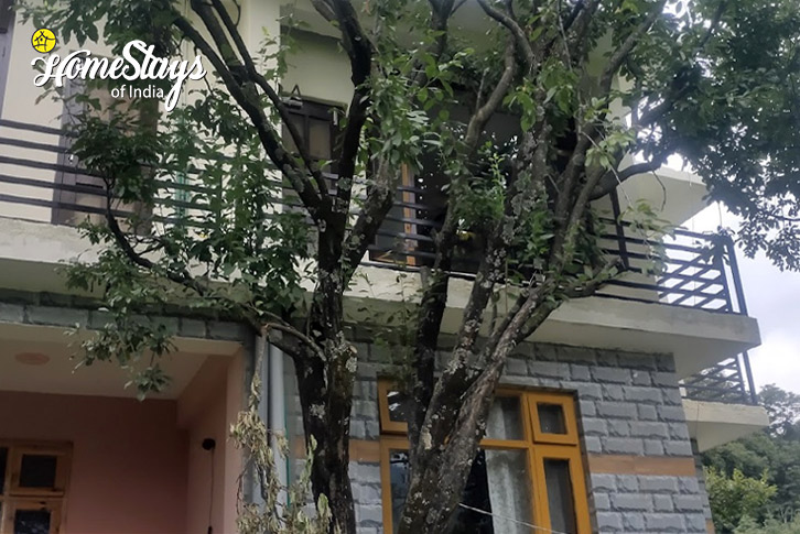 Dreams & Streams Homestay, Dobhi-Kullu