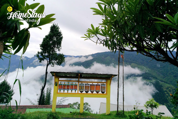 Surrounding-Magical Mornings Homestay, Okhrey-West Sikkim