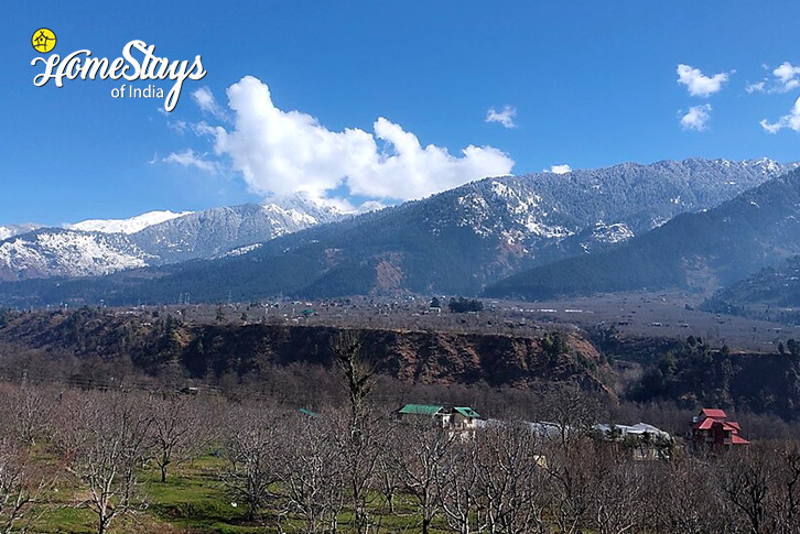 View-Dreams & Streams Homestay, Dobhi-Kullu