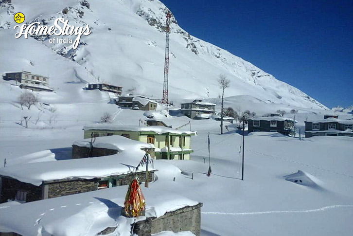 Village-Piece of Heaven Homestay, Koksar-Lahaul