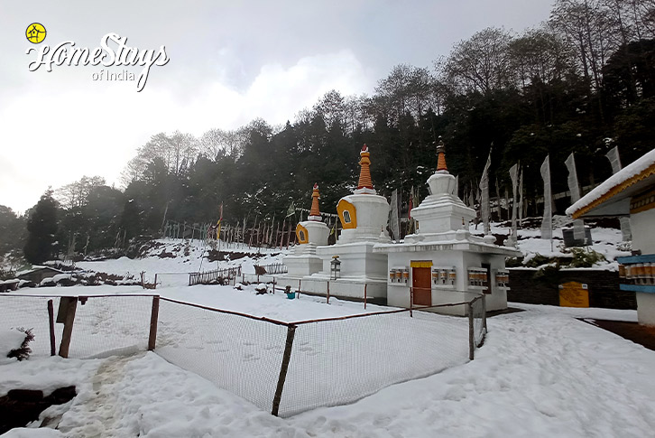 Winter-1-Magical Mornings Homestay, Okhrey-West Sikkim