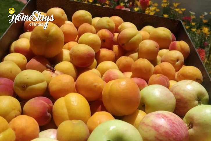 Fruit-The Happiness Hub Homestay - Leh  