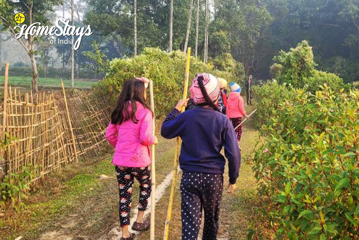 Jungle Walk-Peaceful Living Homestay-Johrat