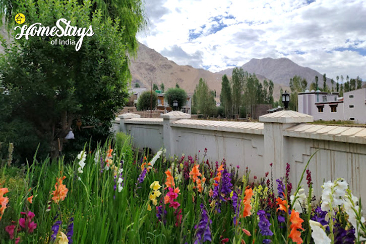 View-The Happiness Hub Homestay - Leh  