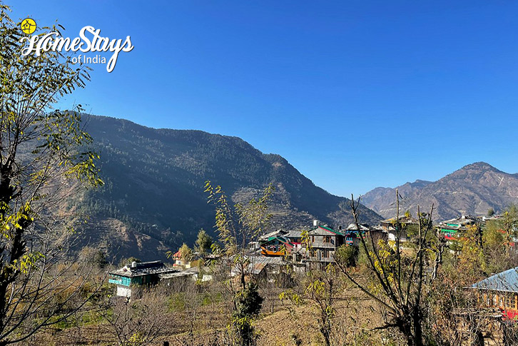 Village-Himalayan Harmony Homestay-Jibhi